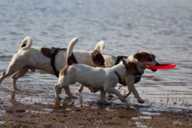 IMG 0582
